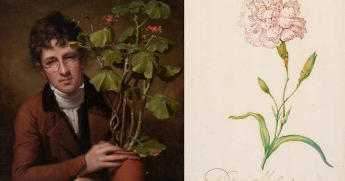 The Hidden Origins of Three English Plant Names: Carnation & Oleander &…
